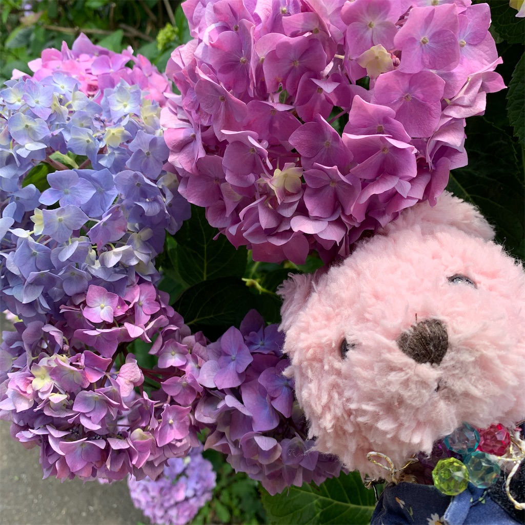 f:id:pinkstrawberryflavor:20210607100449j:image