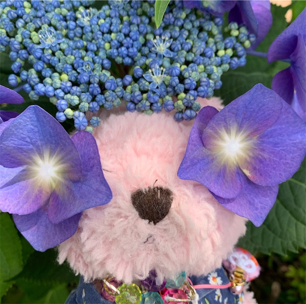 f:id:pinkstrawberryflavor:20210607100710j:image