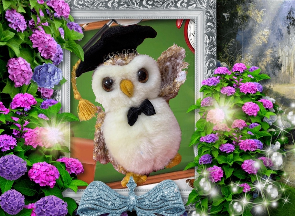 f:id:pinkstrawberryflavor:20210607101902j:image