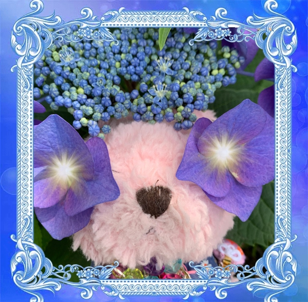 f:id:pinkstrawberryflavor:20210607102611j:image