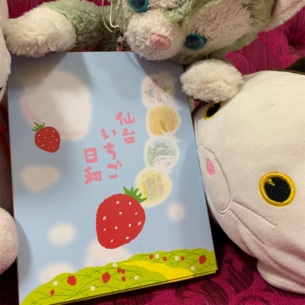 f:id:pinkstrawberryflavor:20211114111911j:image