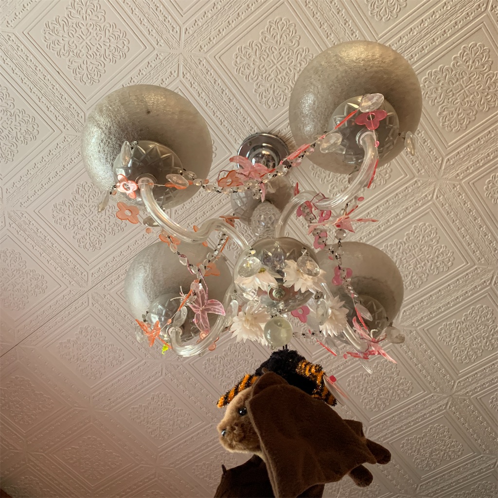 f:id:pinkstrawberryflavor:20220101123443j:plain