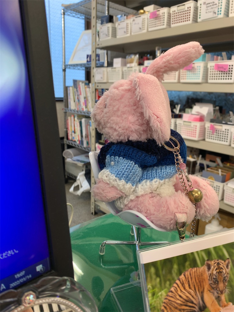 f:id:pinkstrawberryflavor:20220120082017j:image