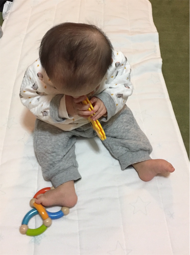 赤ちゃんの自己教育力 モンテッソーリとともに