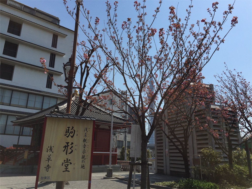 f:id:pinkumaaa:20160412202418j:image f:id:pinkumaaa:20160412202418j:image