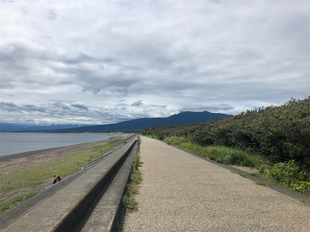 f:id:pinkumaaa:20190707191428j:image f:id:pinkumaaa:20190707191428j:image