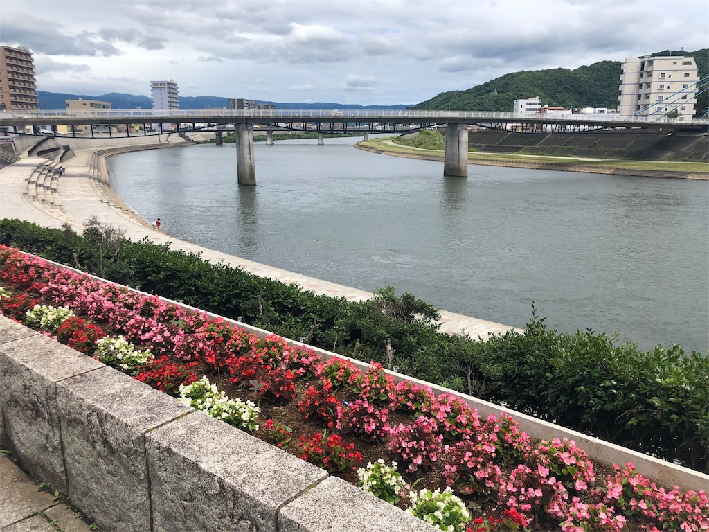 f:id:pinkumaaa:20190707191537j:image f:id:pinkumaaa:20190707191537j:image