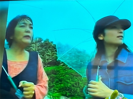 f:id:pinkypop:20240212230326j:image