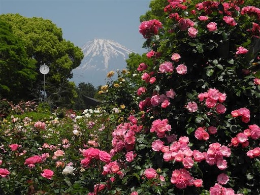 f:id:pinkypop:20240620195508j:image