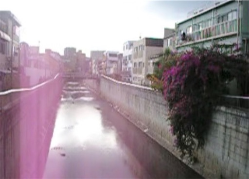 f:id:pinkypop:20251120005322j:image