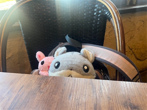 f:id:pinkypop:20260129012352j:image f:id:pinkypop:20260129012352j:image