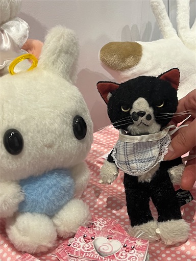 f:id:pinkypop:20260129012756j:image f:id:pinkypop:20260129012756j:image