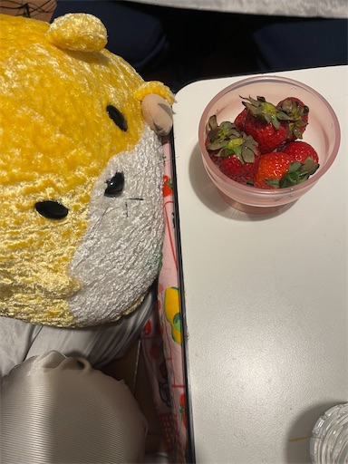 f:id:pinkypop:20260129012929j:image f:id:pinkypop:20260129012929j:image