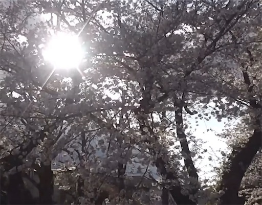 f:id:pinkypop:20260226021058j:image f:id:pinkypop:20260226021058j:image