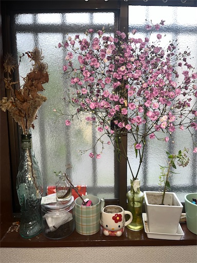 f:id:pinkypop:20260226021244j:image f:id:pinkypop:20260226021244j:image