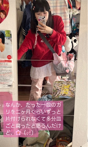 f:id:pinkypop:20260325000405j:image f:id:pinkypop:20260325000405j:image