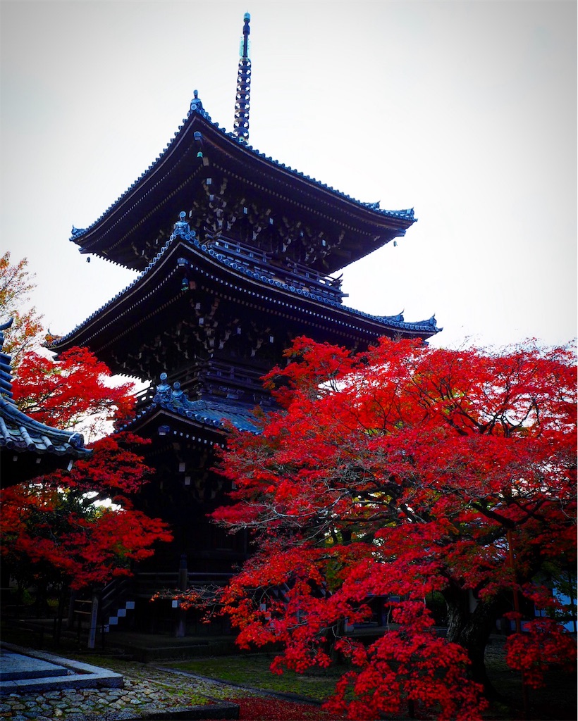 f:id:pinkyring11:20171224092632j:image f:id:pinkyring11:20171224092632j:image