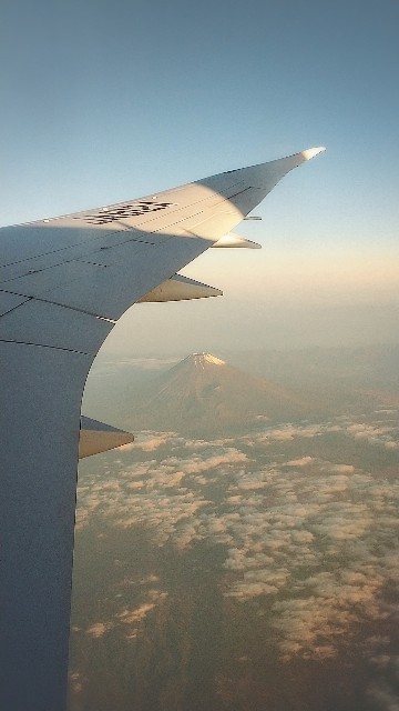 f:id:pino_27s:20201122104626j:image f:id:pino_27s:20201122104626j:image