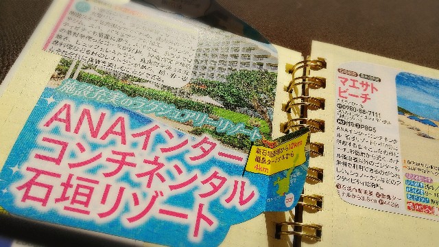 f:id:pino_27s:20201122110440j:image f:id:pino_27s:20201122110440j:image