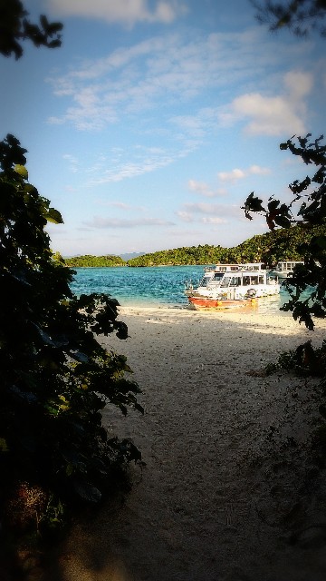 f:id:pino_27s:20201206114300j:image f:id:pino_27s:20201206114300j:image