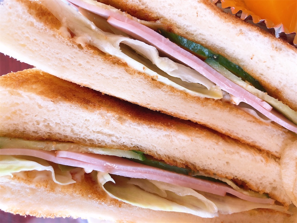 f:id:pinocopon:20210601143030j:image