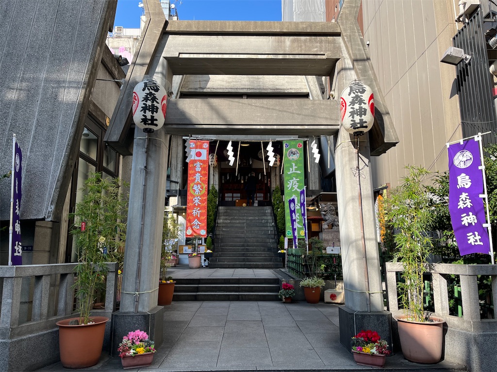 f:id:pinocopon:20220328105652j:image