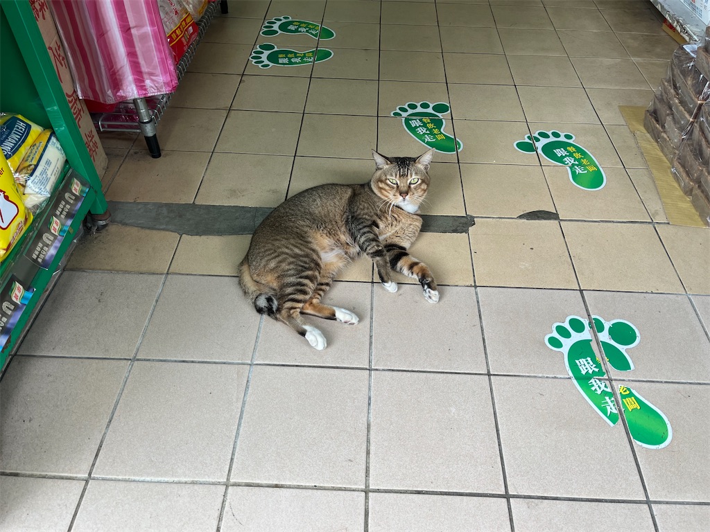 f:id:pinocopon:20230417225102j:image f:id:pinocopon:20230417225102j:image