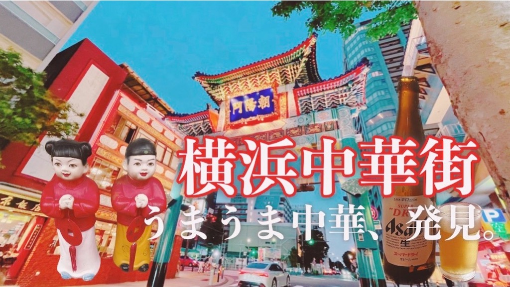 f:id:pinocopon:20230618111928j:image f:id:pinocopon:20230618111928j:image