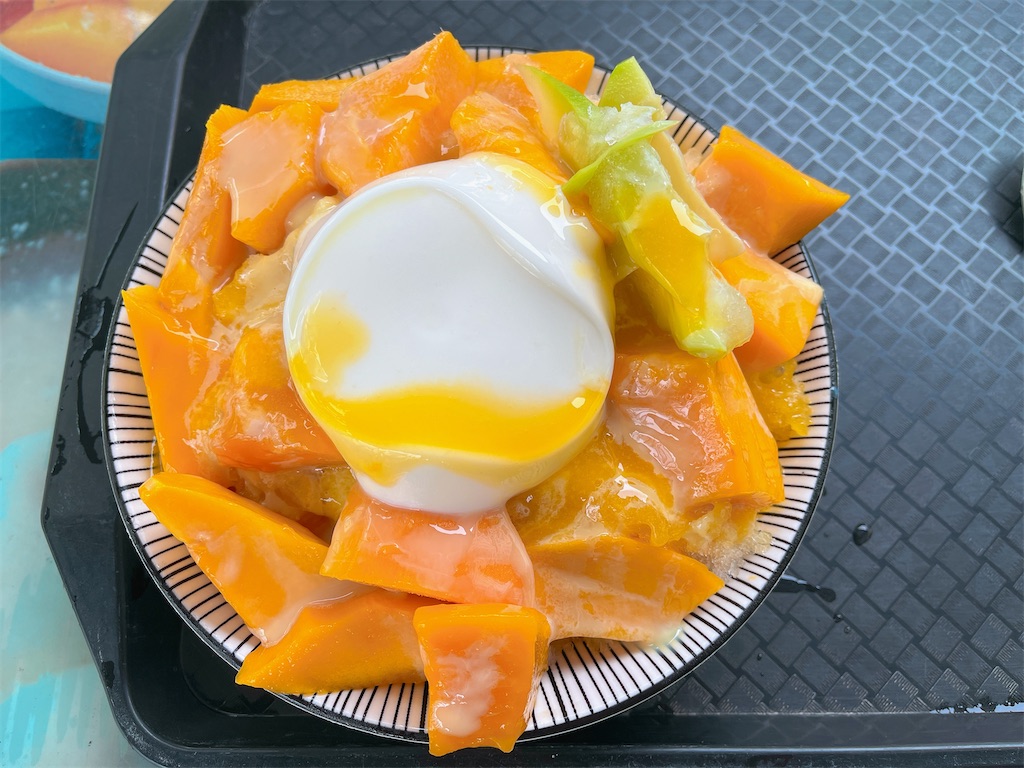 f:id:pinocopon:20230712181759j:image