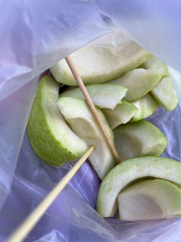 f:id:pinocopon:20240222232024j:image f:id:pinocopon:20240222232024j:image