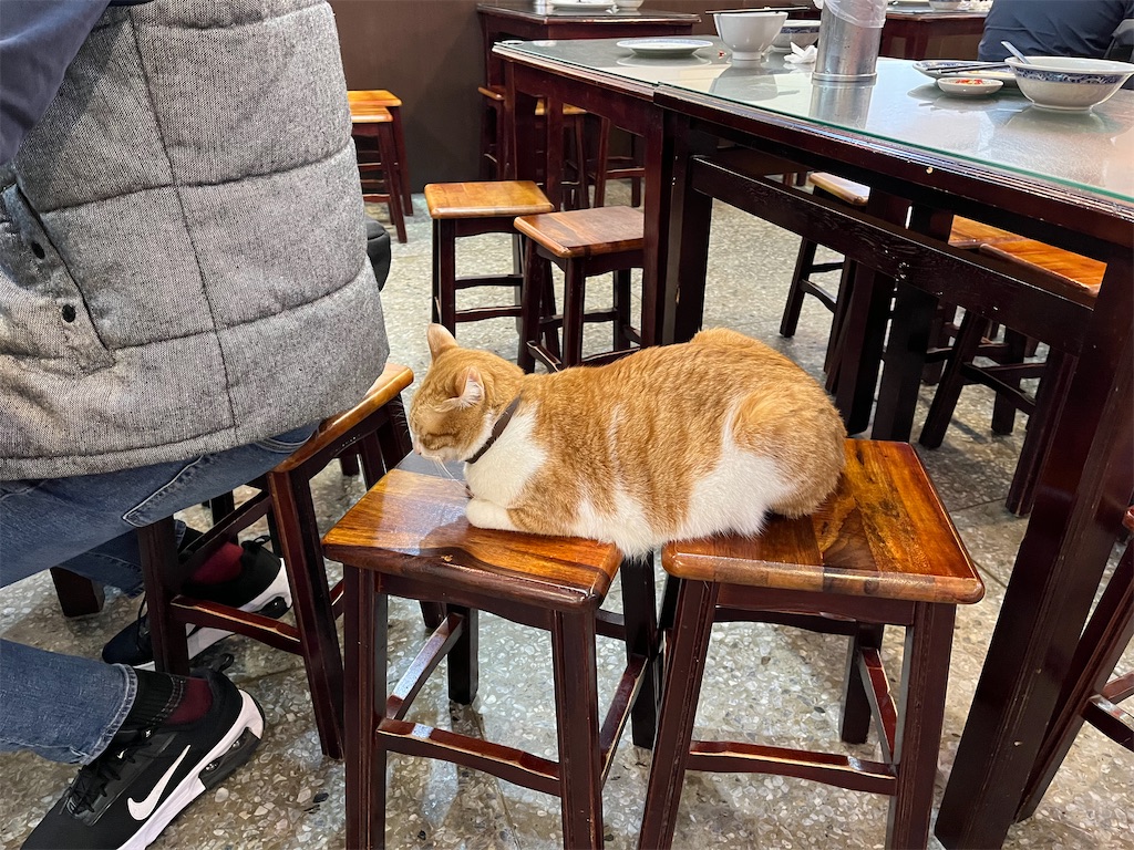 f:id:pinocopon:20240223112938j:image f:id:pinocopon:20240223112938j:image