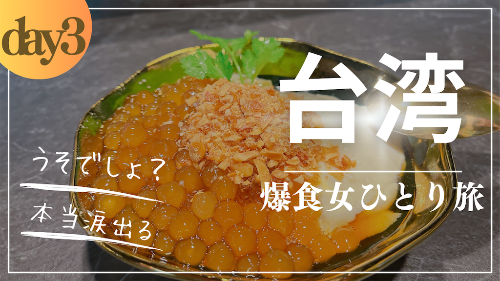 f:id:pinocopon:20240226161503p:image f:id:pinocopon:20240226161503p:image