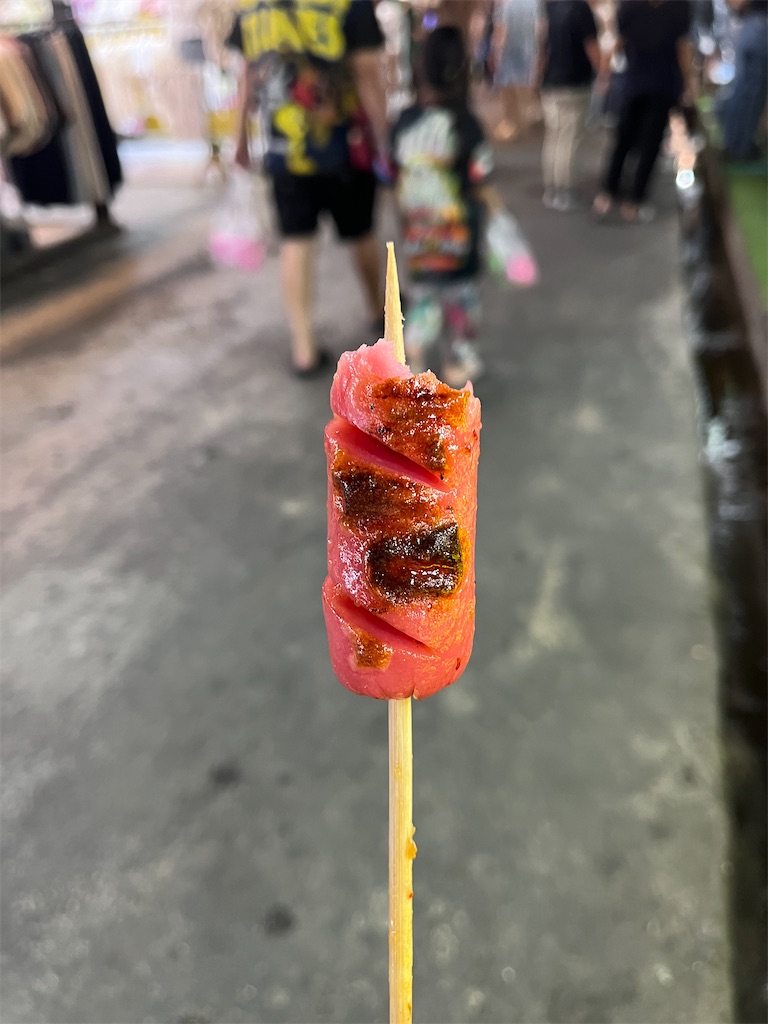 f:id:pinocopon:20240423195653j:image