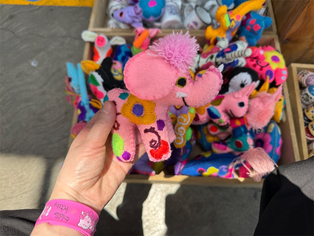 f:id:pinocopon:20240703142220j:image