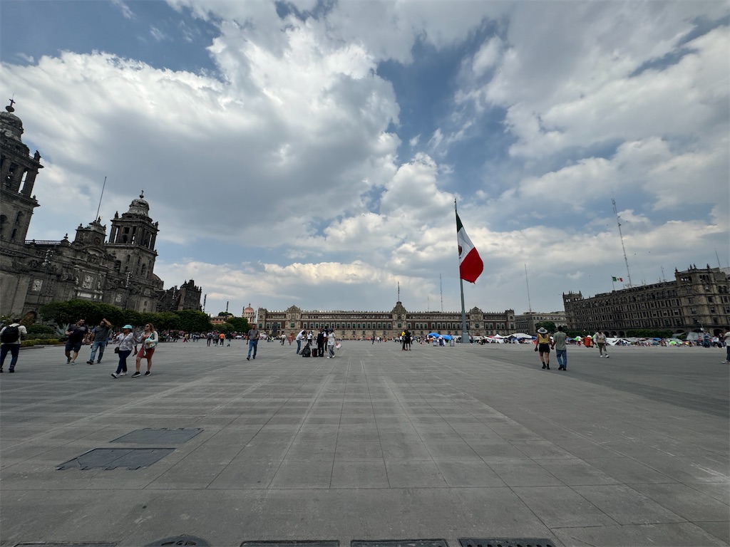 f:id:pinocopon:20240716070054j:image f:id:pinocopon:20240716070054j:image