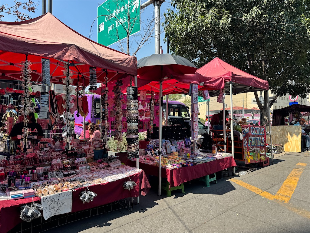 f:id:pinocopon:20240716071251j:image f:id:pinocopon:20240716071251j:image