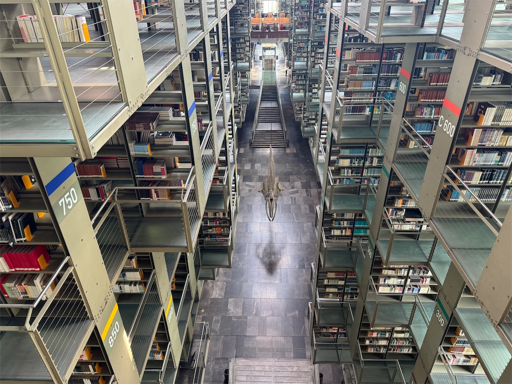 f:id:pinocopon:20240726172530j:image