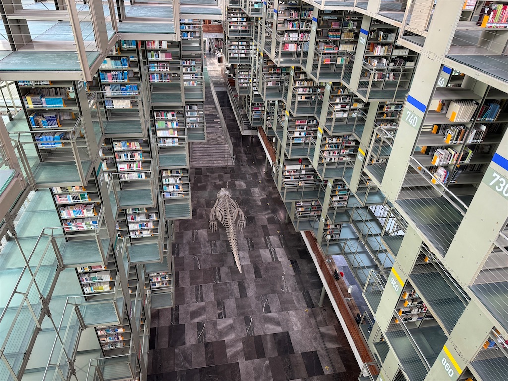 f:id:pinocopon:20240726172541j:image