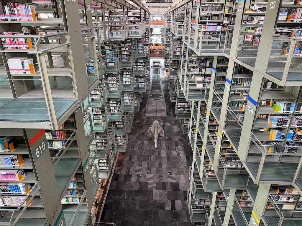 f:id:pinocopon:20240726172551j:image