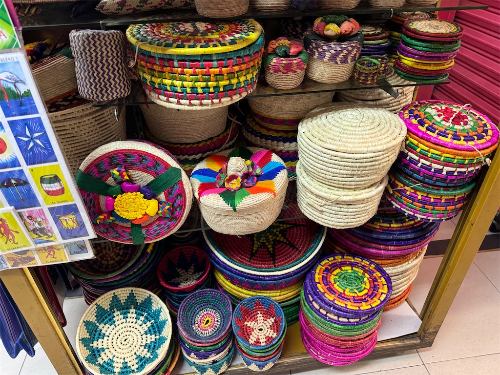 f:id:pinocopon:20240726172659j:image