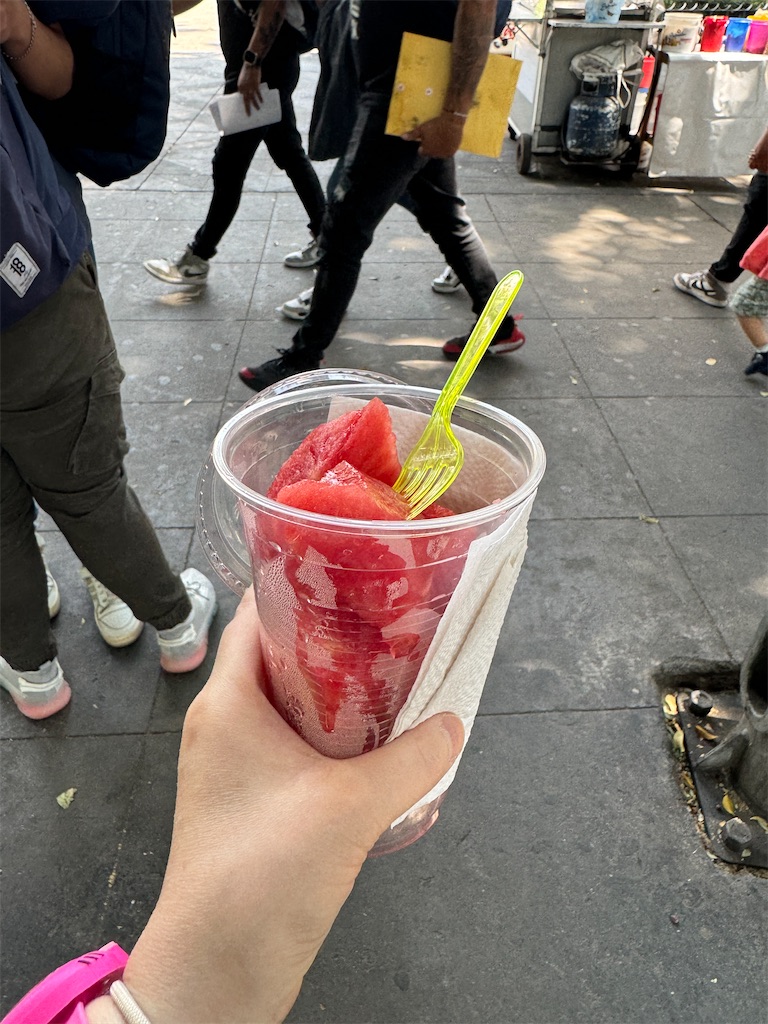 f:id:pinocopon:20240726172745j:image