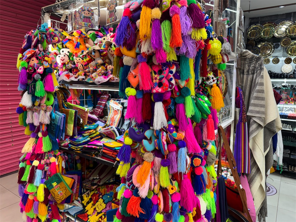 f:id:pinocopon:20240726172748j:image