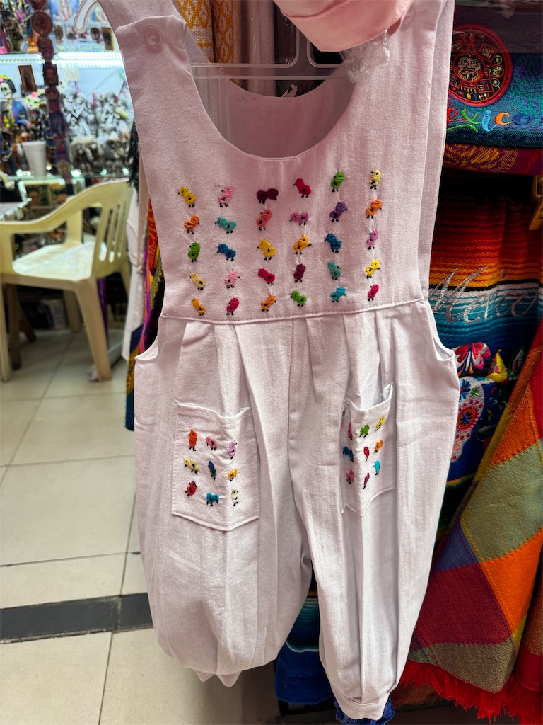 f:id:pinocopon:20240726172804j:image