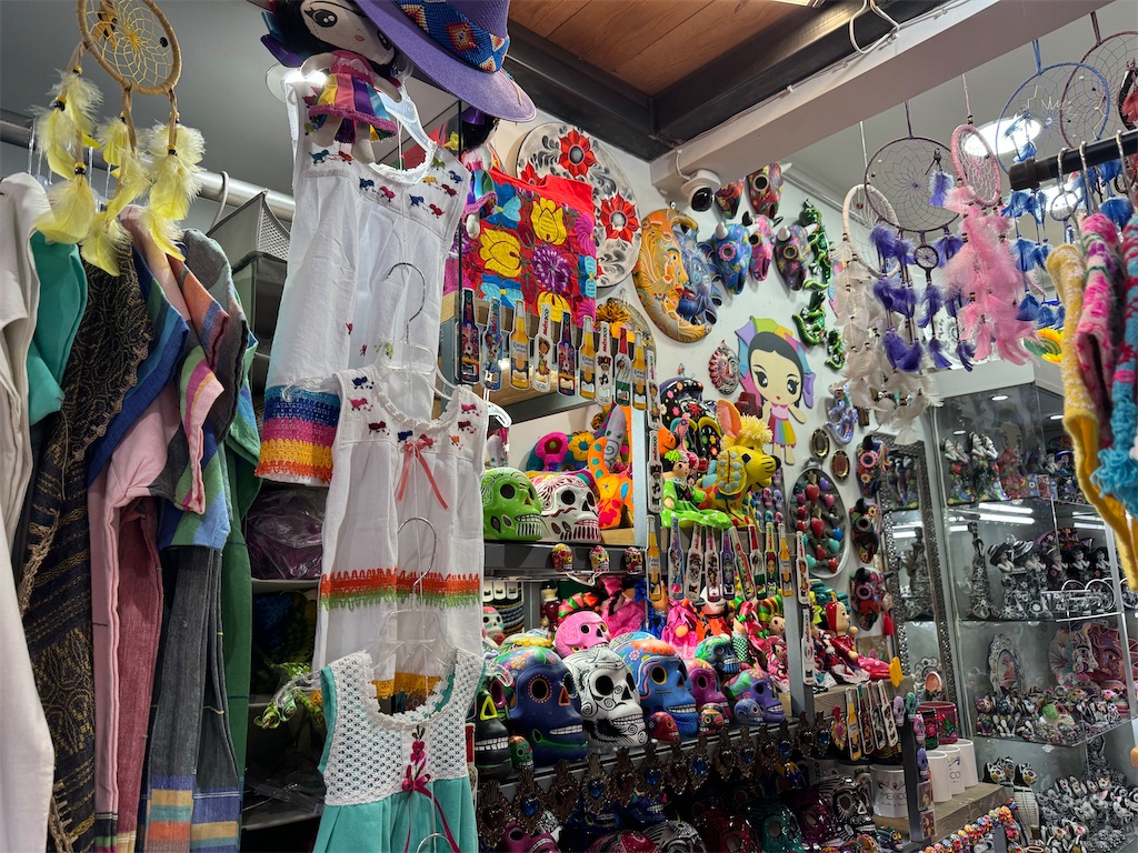 f:id:pinocopon:20240726172811j:image