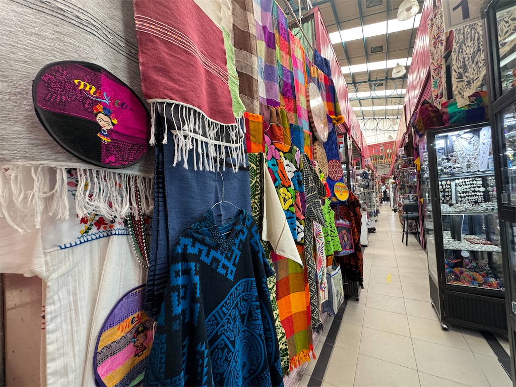 f:id:pinocopon:20240726172939j:image