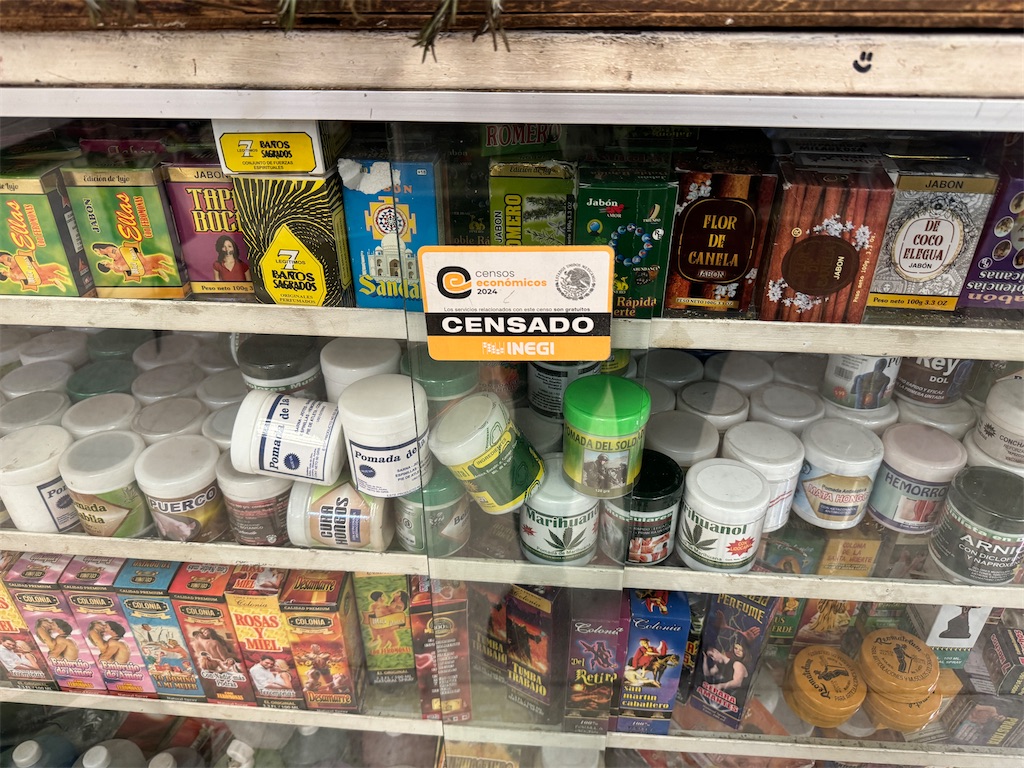 f:id:pinocopon:20240726172950j:image