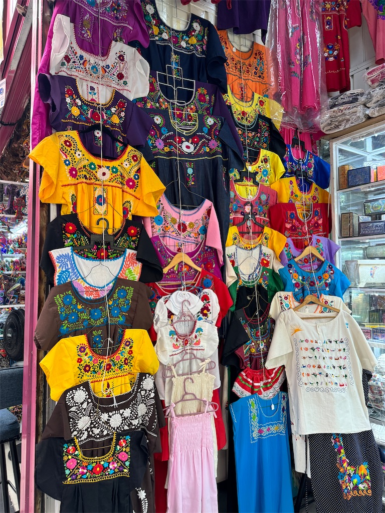 f:id:pinocopon:20240726172957j:image