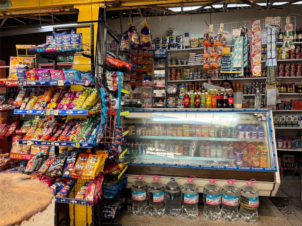 f:id:pinocopon:20240726173211j:image