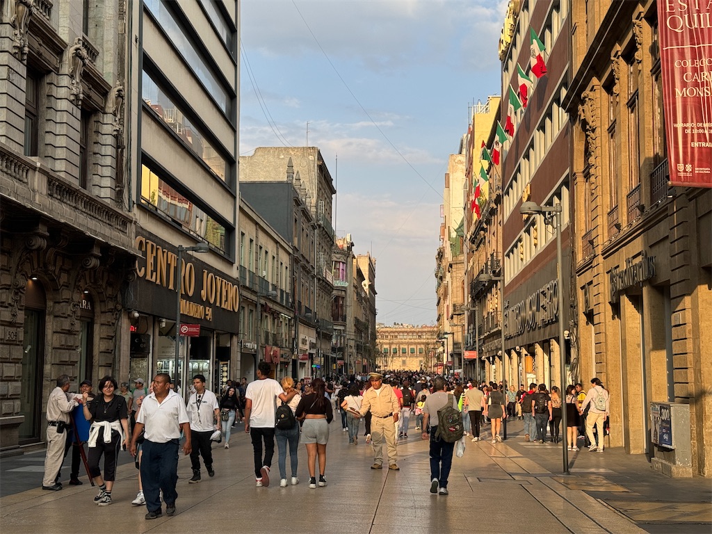 f:id:pinocopon:20240726173221j:image