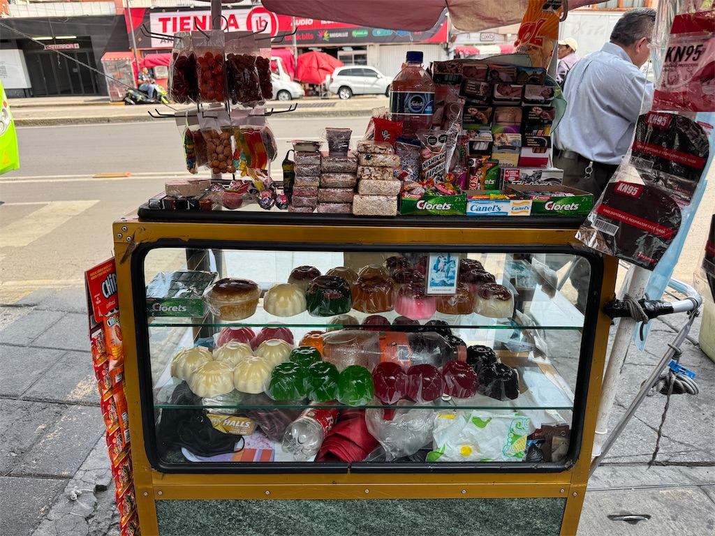 f:id:pinocopon:20240726173225j:image